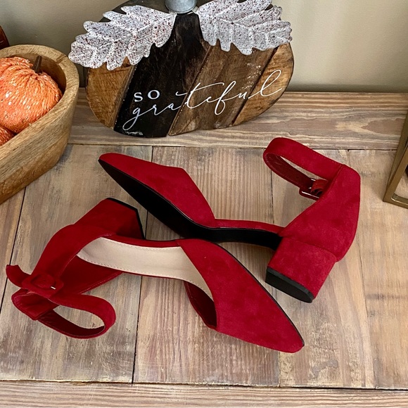 Wine Red Pointy Toe Chunky Block Heels 👠 - Picture 6 of 7